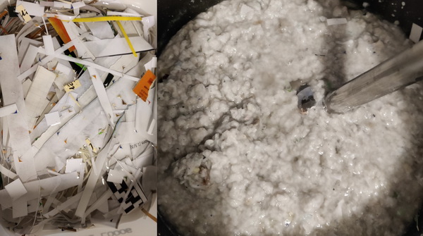 Papier Pulp