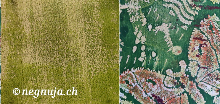 zu wässrige Farbe