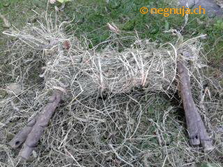 erste Heulage