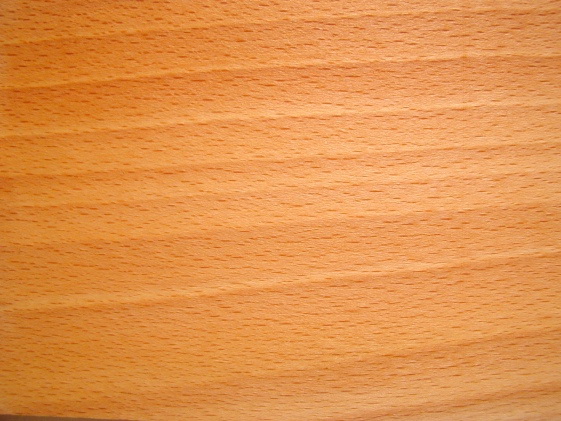 Buchenholz