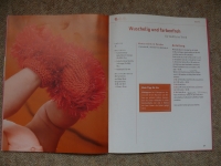 Baby-Schühchen stricken / H. Spitz (Topp 2010)