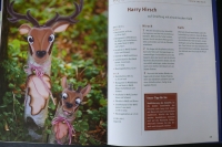 Baumstarke Deko für den Garten / Schröder-Vogel (Topp 2008)