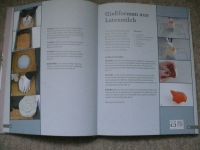 Beton - Das große Werk- und Ideenbuch / Topp 2014