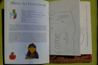 Blinkend & leuchtend / Heinzmann (Bücherzauber 2006)