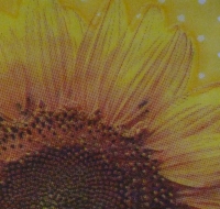 Servietten - Sonnenblumen-Blüte (ca. 25cm Cocktail-Papierserviette)