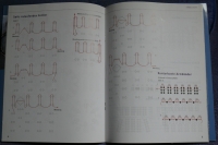 Raffinierte SchmuckStücke / Diana Averdiek (Topp 2010)