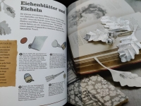 Neues aus alten Büchern / Clare Youngs (Haupt 2013)