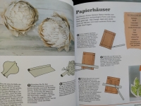 Neues aus alten Büchern / Clare Youngs (Haupt 2013)