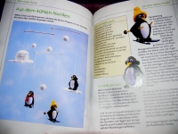 Basteln mit Holz- und Wattekugeln / Heinzmann (Augustus 2000)