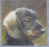 Servietten - Dackel  (ca. 33cm Papierserviette)