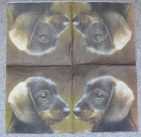 Servietten - Dackel  (ca. 33cm Papierserviette)