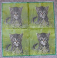 Servietten - Katze im Gras (ca. 33cm Papierserviette)