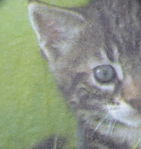 Servietten - Katze im Gras (ca. 33cm Papierserviette)