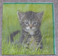 Servietten - Katze im Gras (ca. 33cm Papierserviette)