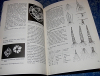 Binden und Färben (Topp - 1981)
