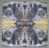 Servietten - 2 Katzen (ca. 25cm Cocktail-Papierserviette)