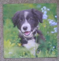 Servietten - Hund im Gras (ca. 33cm Papierserviette)