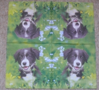 Servietten - Hund im Gras (ca. 33cm Papierserviette)