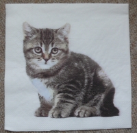 Servietten - Katze auf weiss (dunkel)  (ca. 33cm Papierserviette)