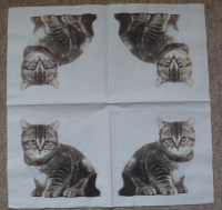 Servietten - Katze auf weiss (dunkel)  (ca. 33cm Papierserviette)