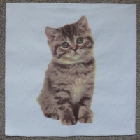 Servietten - Katze auf weiss (hell)  (ca. 33cm Papierserviette)