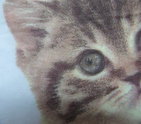 Servietten - Katze auf weiss (hell)  (ca. 33cm Papierserviette)