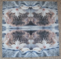 Servietten - schlafende Katze (ca. 33cm Papierserviette)