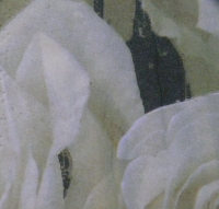 Servietten - weisse Rosen (ca. 33cm Papierserviette)