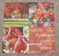 Servietten -  Herbst-  'Autumn'  (33cm Papierserviette)