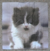Servietten - Kätzchen (ca. 33cm Papierserviette)