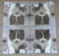 Servietten - Kätzchen (ca. 33cm Papierserviette)