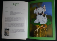 Drück auf die Tube / Apel-Funk (vielseidig - 2000)