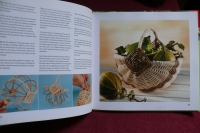 Faszination Peddigrohr / Antje Hövel (Topp - 2009)