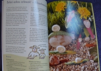 Filzen - kinderleicht / Foldenauer (2004 - OZ creativ)