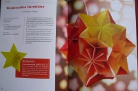 Fleurogami - Armin Täubner (Topp 2011)