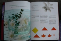 Fleurogami - Armin Täubner (Topp 2011)