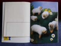 Gefilztes Landleben / Petra Mogwitz (Bücherzauber 2005)