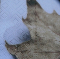 Servietten - Herbst - Ahornblatt - Beige  (ca. 33cm Papierserviette)