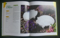 Gartendeko (Knaur - 2002)