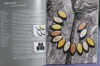 Raffinierter Fimo® - Schmuck / Anke Humpert (Topp 2010)