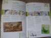 Acrylmalerei - Grundlagenbuch (2011 DMV)