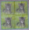 Servietten - Katze im Gras (ca. 33cm Papierserviette)