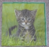 Servietten - Katze im Gras (ca. 33cm Papierserviette)