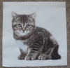 Servietten - Katze auf weiss (dunkel)  (ca. 33cm Papierserviette)