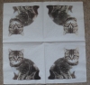 Servietten - Katze auf weiss (dunkel)  (ca. 33cm Papierserviette)