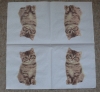 Servietten - Katze auf weiss (hell)  (ca. 33cm Papierserviette)