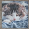 Servietten - schlafende Katze (ca. 33cm Papierserviette)