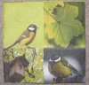 Servietten - Kohlmeisen  (ca. 33cm Papierserviette)