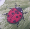 Servietten -  2 Marienkäfer auf Blatt  (33cm Papierserviette)