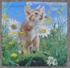 Servietten - schnüffelnde Katze (ca. 33cm Papierserviette)